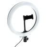 Aro de Luz Led Selfie 26 cm CCT
