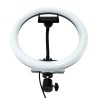 Aro de Luz Led Selfie 26 cm CCT