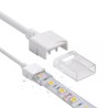 Conector union con Cable Para Tira Led 220V 12Mm Out 10Mm In 2Pin