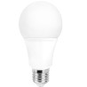 BOMBILLA LED E27 10W 125Vac FRIA 6400K